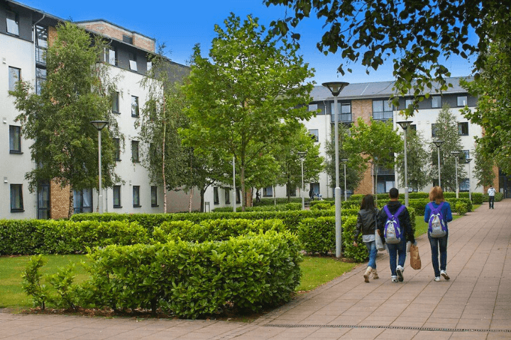 Campus UCD Irlanda Dublin - 